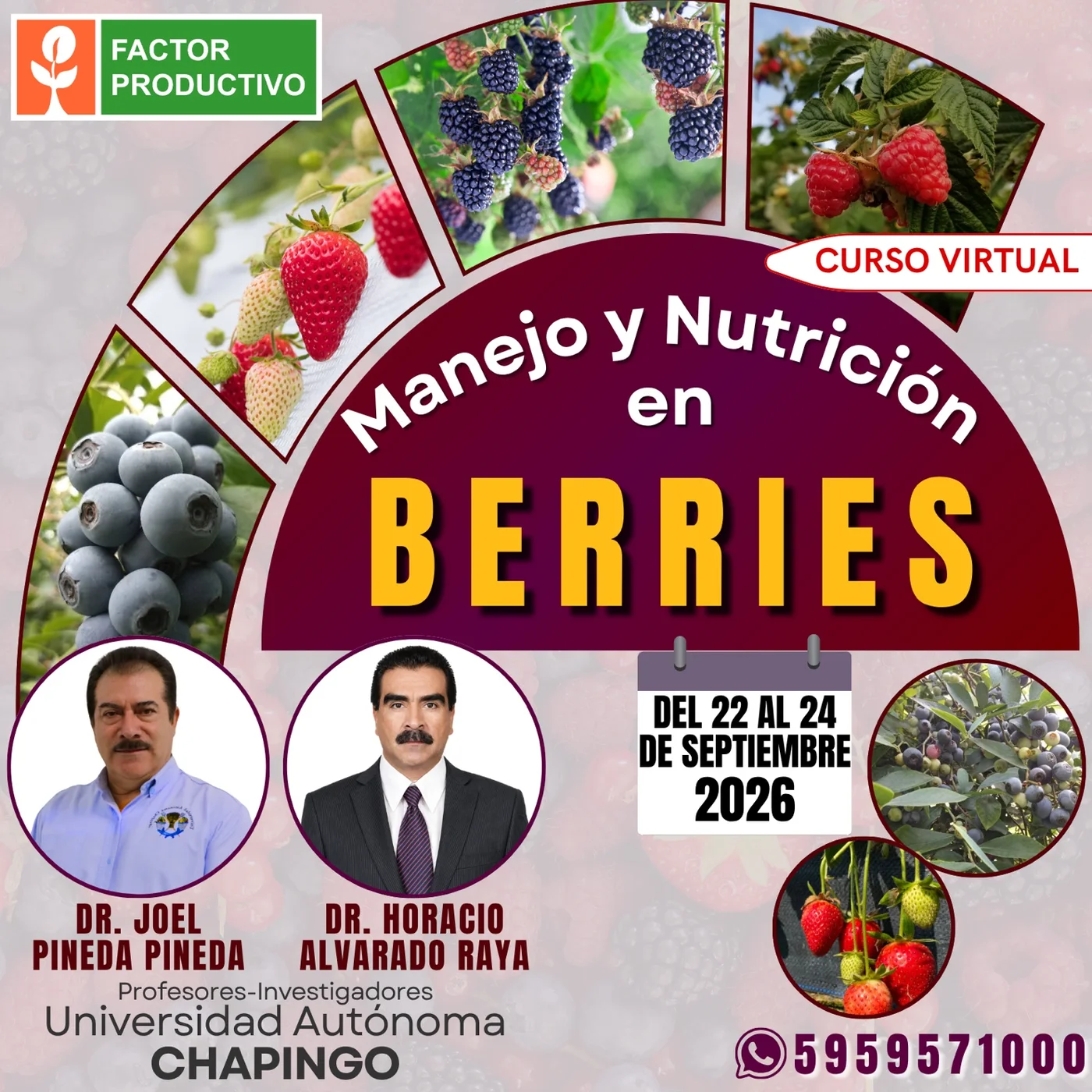 Programa del curso Manejo y Nutrición en Berries